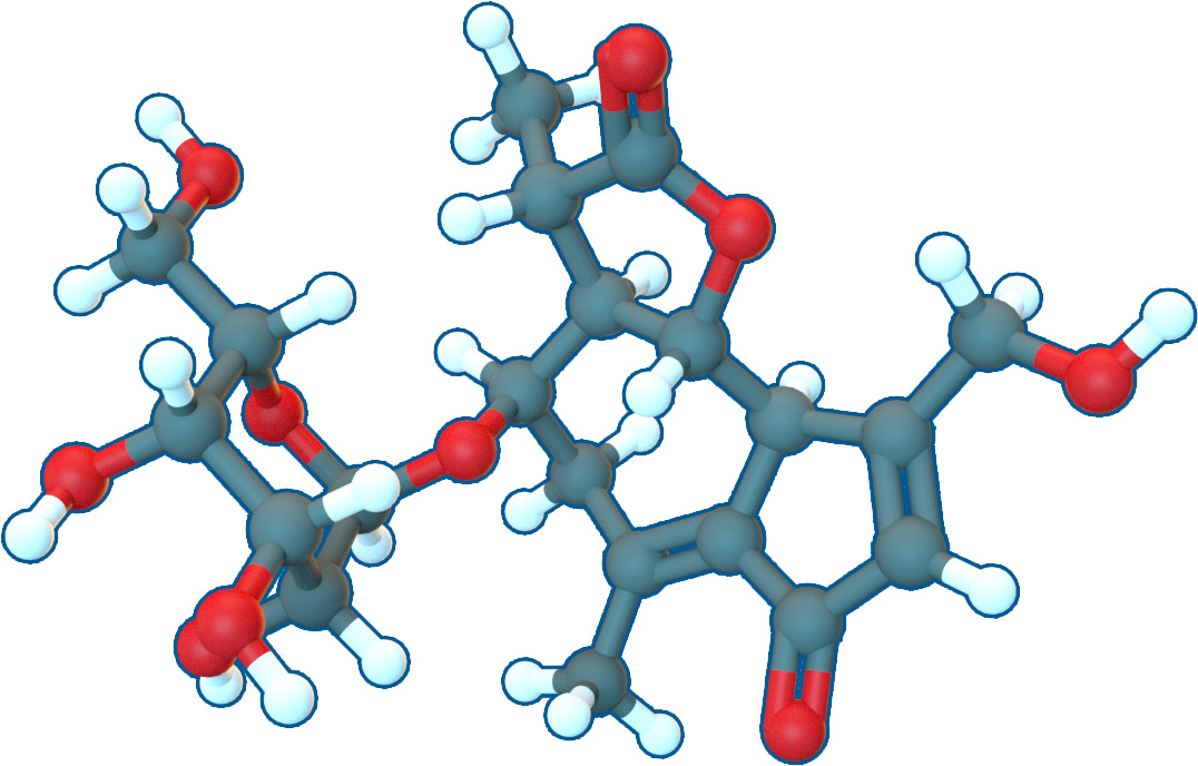 Image of Cichorioside G | C21H28O10 | Supreme Pharmatech